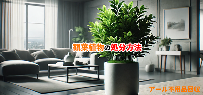 観葉植物の処分方法記事アイキャッチ