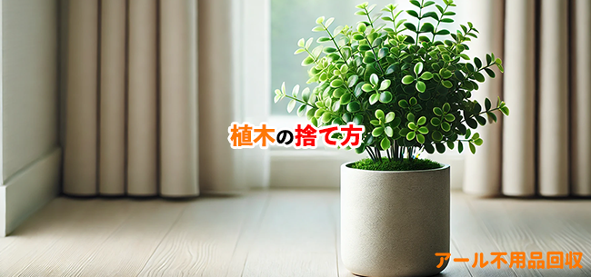 植木処分記事アイキャッチ