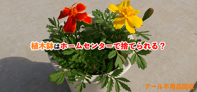 植木鉢の処分方法記事アイキャッチ