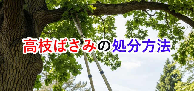 高枝ばさみ処分記事アイキャッチ