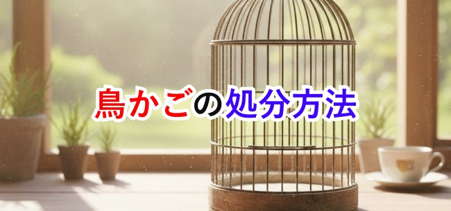 鳥かごの処分方法記事アイキャッチ